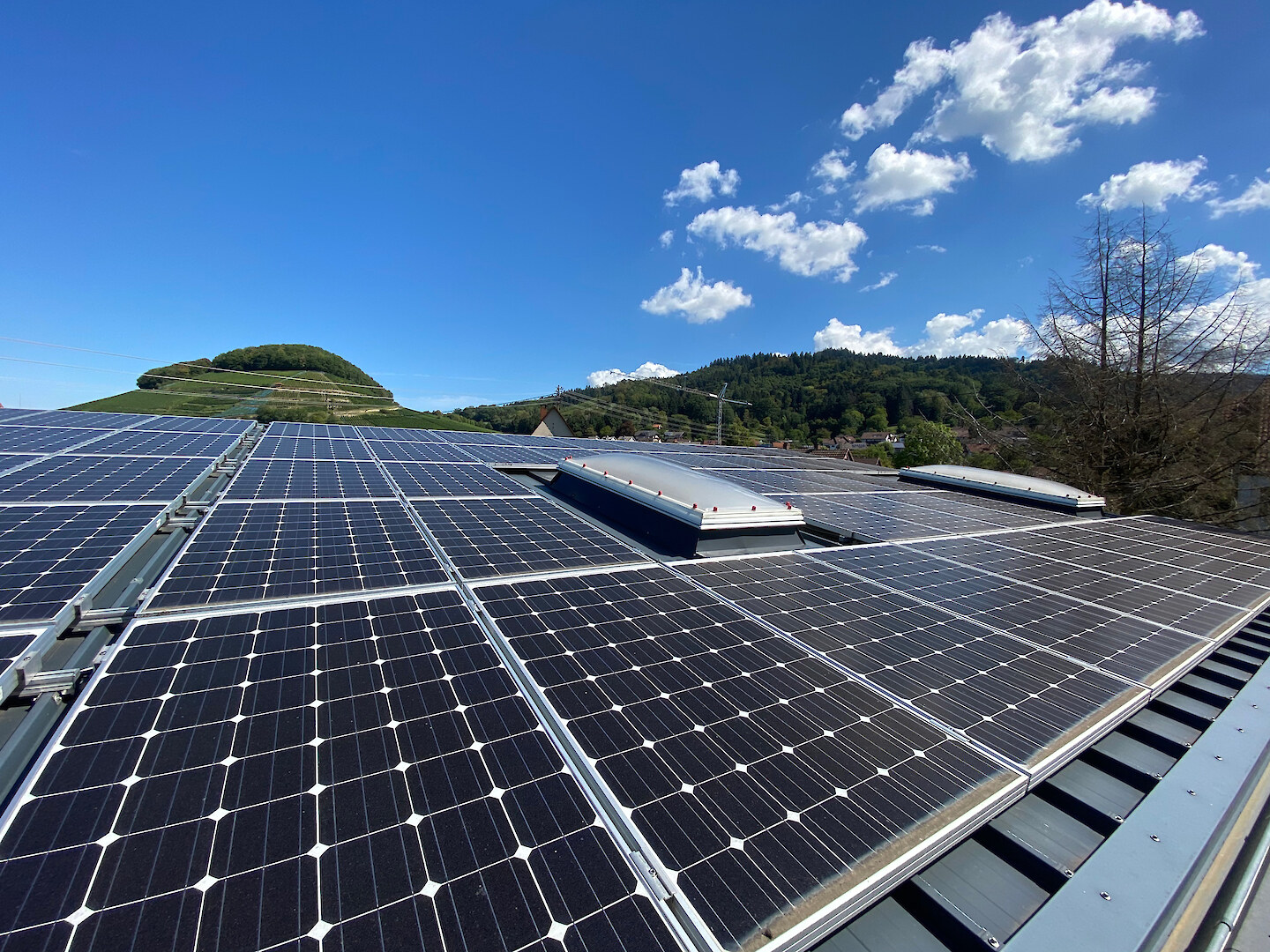 plasticant mobilo GmbH – jouer durablement